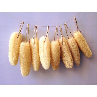Miếng rửa bát / Miếing rửa chén xơ mướp tự nhiên Vi Lâm, Hàng vnxk, đủ loại, đủ kích cỡ MRCXM