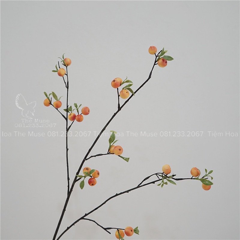 Cành Quả Táo Rừng - Mô Phỏng Mận Rừng - Decor Phong Cách Wabi Sabi ...