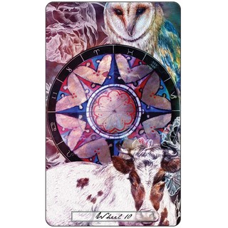 Bộ Bài Uncommon Tarot (Mystic House Tarot Shop) - Bài Gốc Authentic Chính Hãng 100%