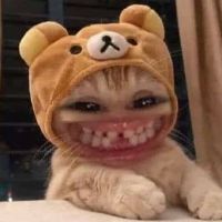 hfyvxfjcg