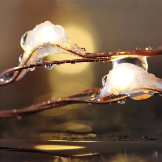 2M 20LED Đèn Chai Rượu Có Nút Chai, Đèn Dây Cổ Tích Hoạt Động Bằng Pin Nhiều Màu Sắc, Đèn Chai Dây Đồng Chống Thấm Nước Cho Tiệc Cưới Giáng Sinh Trang Trí Ngoài Trời Trong Nhà