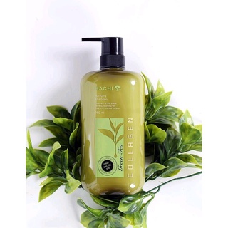 Dầu gội đầu cặp trà xanh hachi dành cho tóc dầu khắc phục tình trạng dư thừa dầu chiết xuất tự nhiên