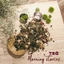 Trà Morning Stories giúp tỉnh táo, tập trung - Trà Hoa The Tea Stories