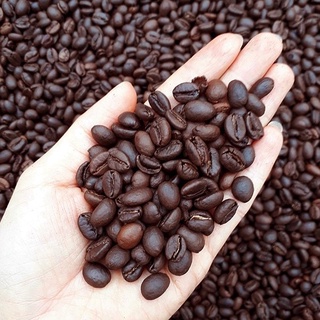 Cà Phê  Hạt Robusta Nguyên Chất Rang Mộc 100% hạt cà phê từ dak lak