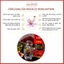 Combo Nhụy Hoa Nghệ Tây SAFFRON BAHRAMAN 1Gr x 2 hộp [Date 3/2023]
