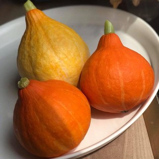 Hạt Giống Bí Mặt Trời, dễ trồng sinh trưởng phát triển khoẻ- gói 10 hạt