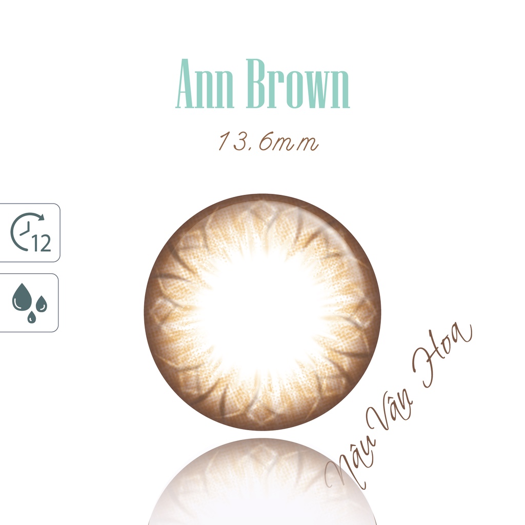 Ảnh Lens 1 Ngày ANN365 Màu Nâu Đậm Ann Brown Giãn Tròng Cho Mắt Cận Loạn 2