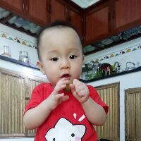 vananh304