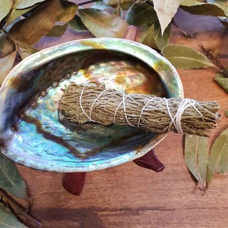 Tuyết Tùng - Cedar (Bó 10-12 cm) (Mystic House Tarot Shop) - Sản Phẩm Authentic Chính Hãng 100%