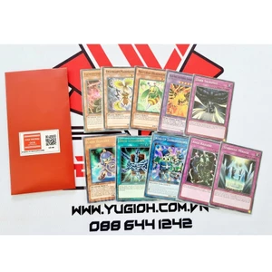 Túi Thẻ Bài Yugioh Foil ( Super, Ultra, Secret Rare ) Ngẫu Nhiên