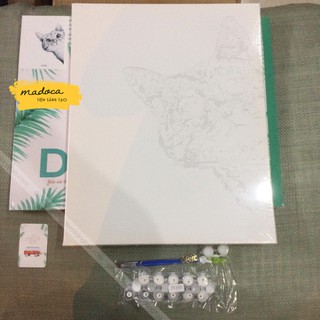 Tranh tô màu số hóa Madoca có khung 40x50cm Chú mèo xinh xắn T141