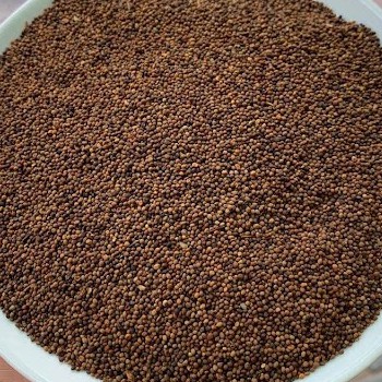 [Mã BMTTC60K giảm đến 60K đơn 50K] Thỏ ty tử khô thượng hạng JINDO 1kg