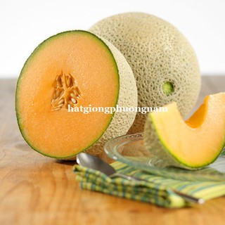 20 Hạt - Hạt Giống  Dưa Lưới Ruột Vàng Phương Nam