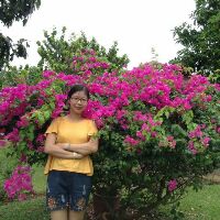 laiphuong2108