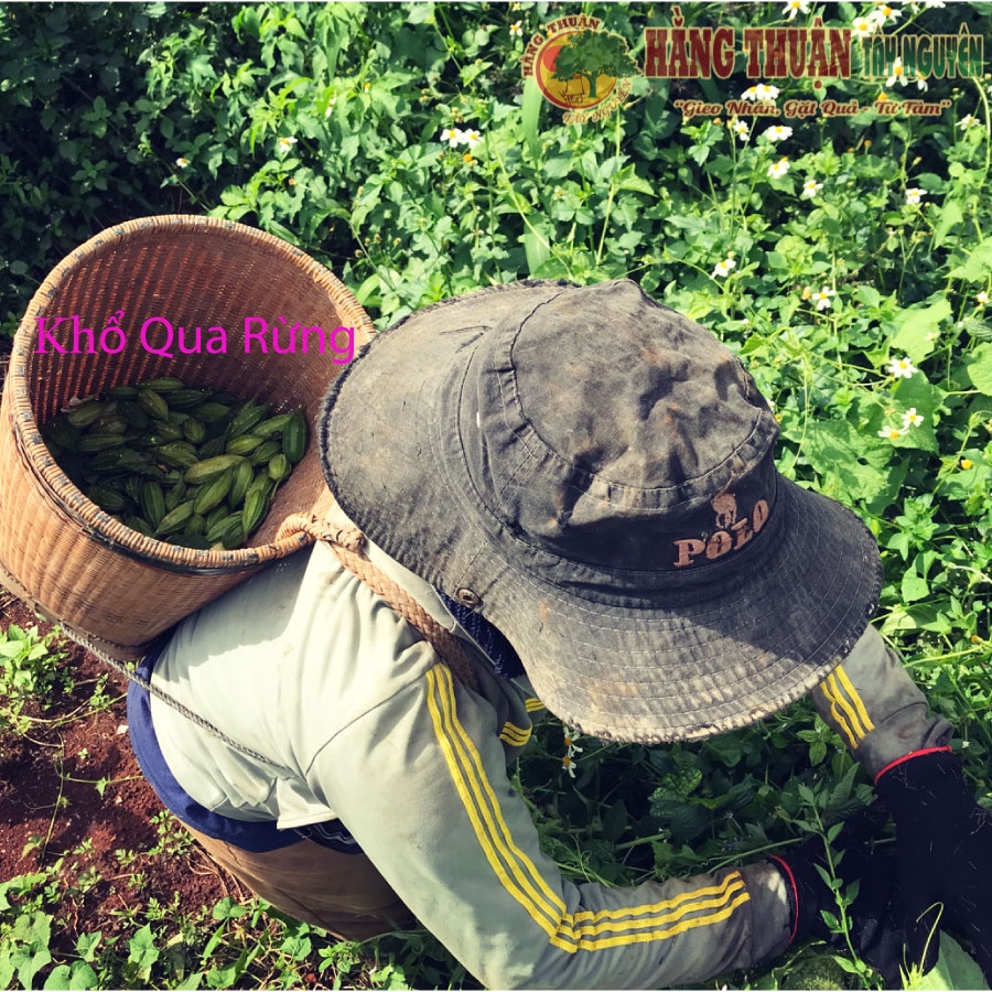 Thảo Dược Tắm Bé Hằng Thuận Tây Nguyên