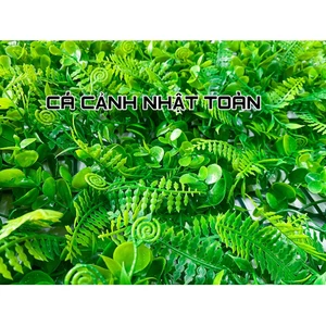 THẢM CỎ DƯƠNG SỈ NHÂN TẠO TRANG TRÍ BỂ CÁ, TIỂU CẢNH 60X40CM
