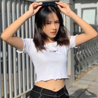 hoangthingocan