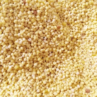 [Giá tốt] 1Kg Hạt Kê Nếp Vàng (Đã Tách Vỏ) cho bé ăn dặm, làm sữa hạt
