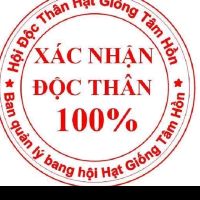 minhminh9593