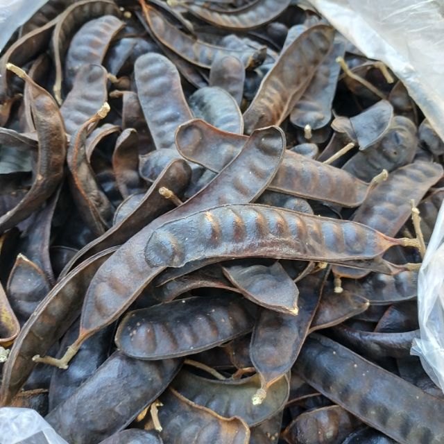 Bồ kết trái - 1 kg | Shopee Việt Nam