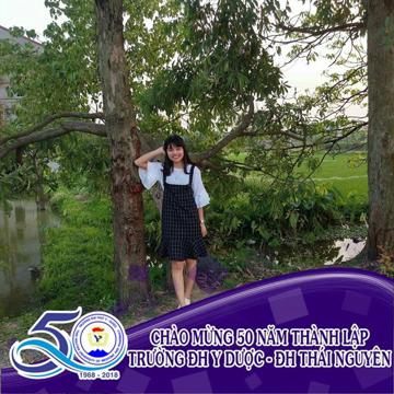 hoanho_bn93