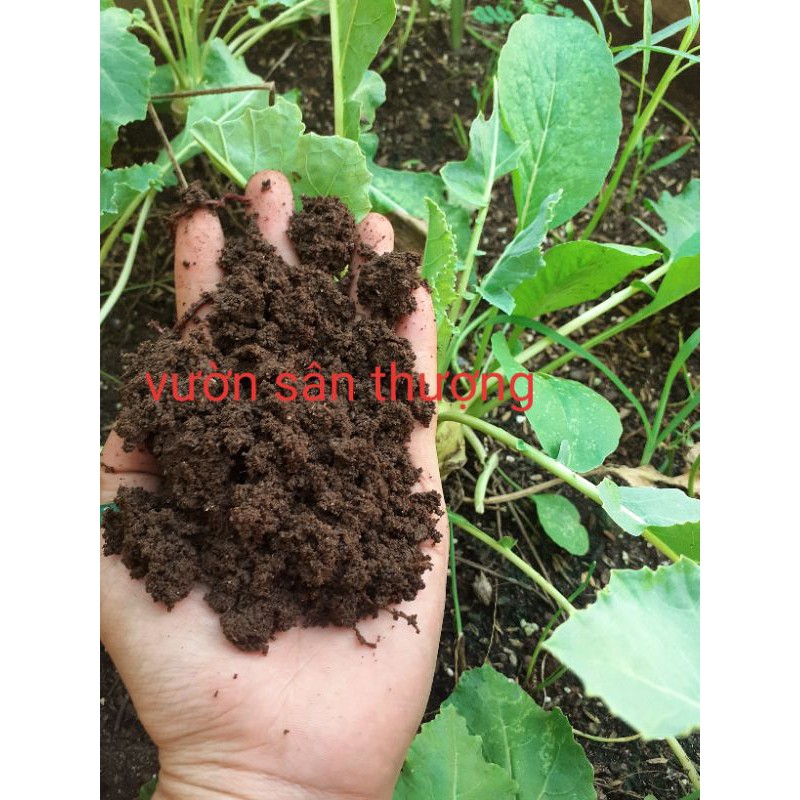 Phân T.rùn Q.uế Hữu Cơ Vườn Nuôi 2kg