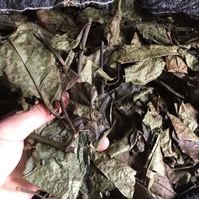 xạ đen hoà bình khô