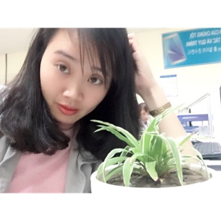 sauriengnho.91_gn