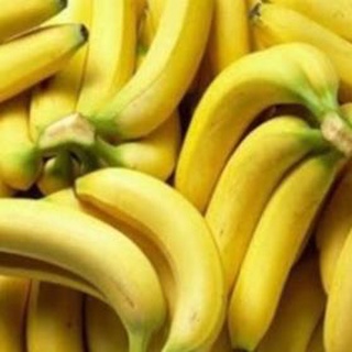 Combo 2 cây chuối tiêu hồng cấy mô .