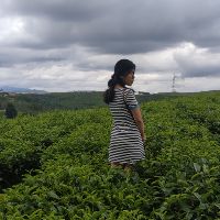 yenchitranthi