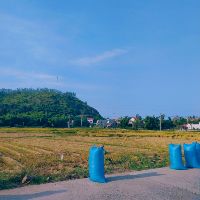 dangthithuhuong22