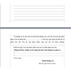 Đơn kháng cáo Hình Sự A4 in 3 bản