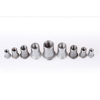 10 cái Ốc tán rút, ecu rút M3-M12 inox304