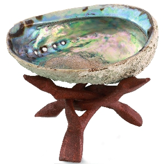 Vỏ Bào Ngư Đốt Xô Thơm Thanh Tẩy (Tùy Chọn Kèm Đế Gỗ) - Sản Phẩm Authentic Chính Hãng 100%