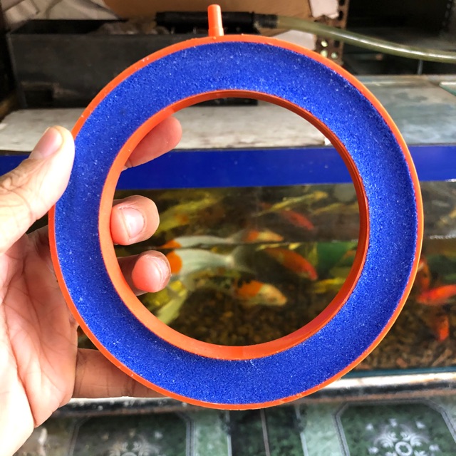 VÒNG SỦI OXY HỒ CÁ NON BỘ ĐƯỜNG KÍNH
