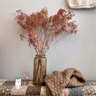 [Decor] Bình hoa/ Lọ hoa thuỷ tinh màu trà phong cách vintage 🌿🌸