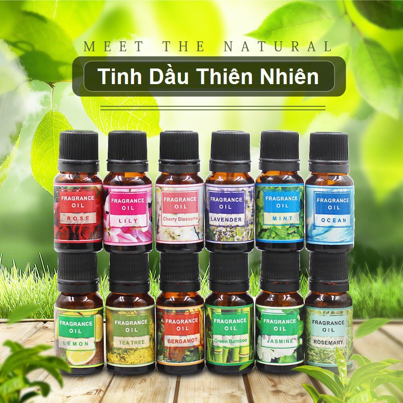 Combo 5 Lọ 10ml Tinh Dầu Thiên Nhiên Nguyên Chất Nhiều Mùi Thơm Phòng Giúp Bạn Thư Giãn Sảng Khoái Mỗi Ngày