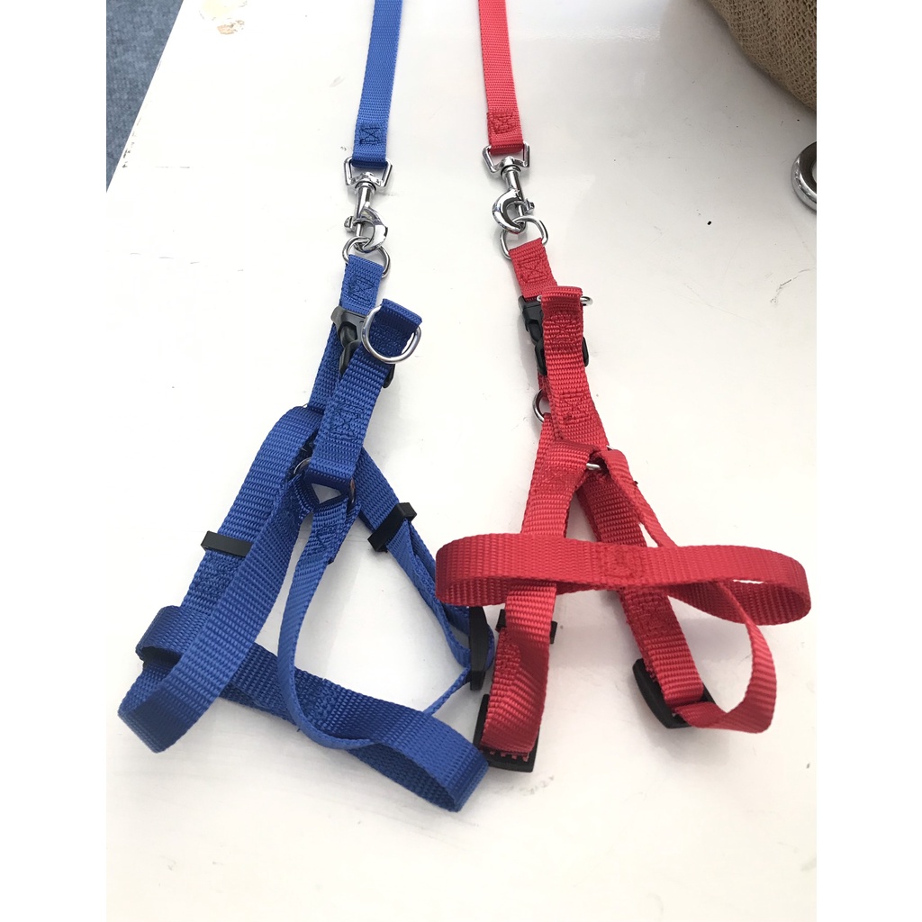 Dây dắt chó mèo kèm yếm bản dây 1/1.5cm - Jpet shop