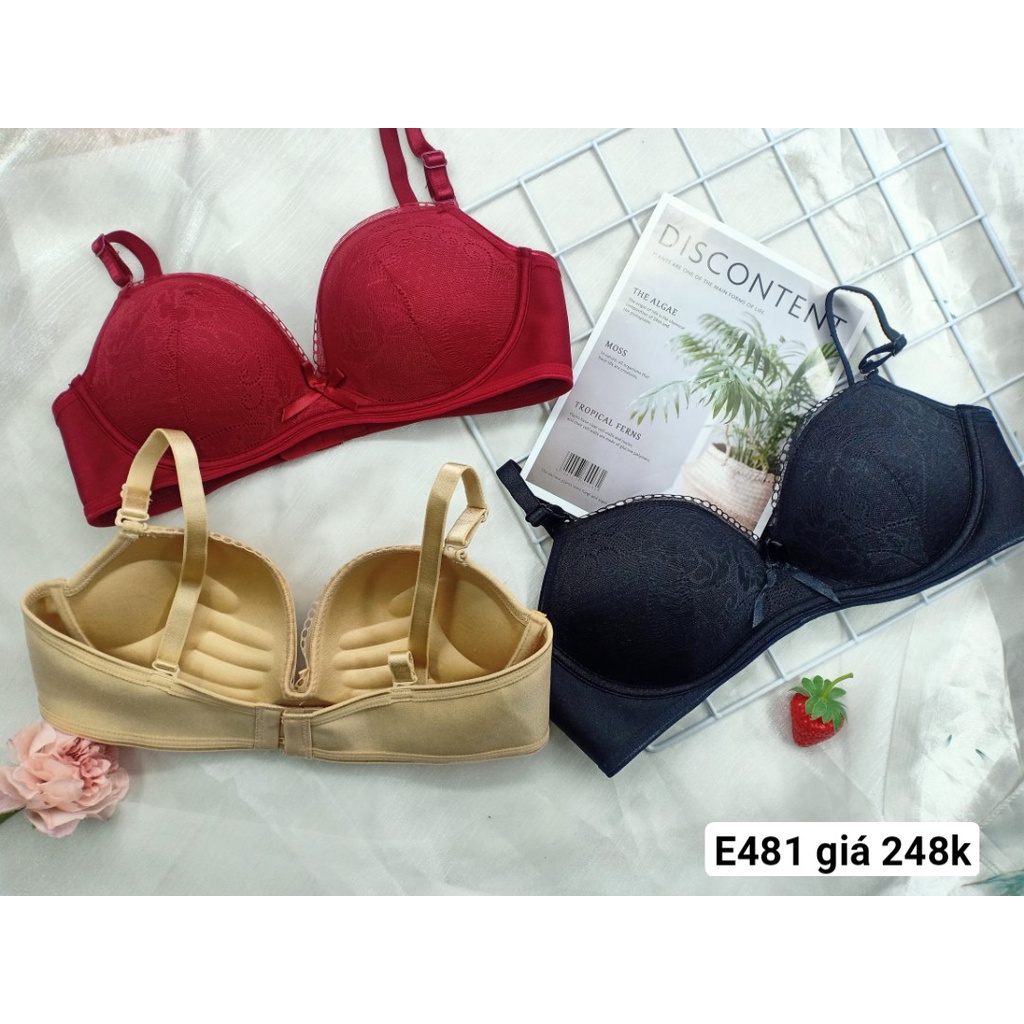 Áo Ngực Không Gọng, Áo Lót Mút Vừa E481 - Thương Hiệu 12H