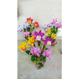 KHUÔN LAN HOÀNG HẬU ( L)