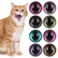 EDIWANY Eyes with Pad Magic Color Cat Eyes Đồ dùng động vật nhồi bông