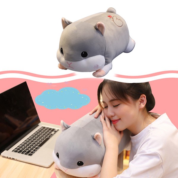 CHUỘT HAMTER SIÊU BỰ | Shopee Việt Nam