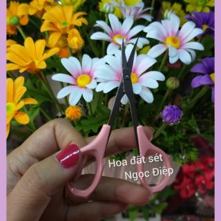 KÉO MŨI CONG ( DÀNH CẮT TỈA CÁC NHỤY HOA )