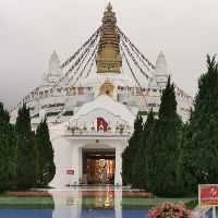 jigme.kelzang