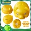 HEO ĐẤT NHỰA TIẾT KIỆM SIÊU BỀN SIÊU ĐẸP [ MUA CHỌN SIZE]