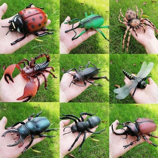 Đồ Chơi Mô Hình Côn Trùng Bọ Cánh Cứng Cỡ Nhỏ Dễ Thương