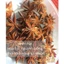 Hoa hồi (đại hồi) khô Tây Bắc 100g, đầu vụ bông to, sỉ từ 260k/kg - Tạp hóa cô Quý (M27)