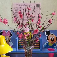 shopmumandbaby