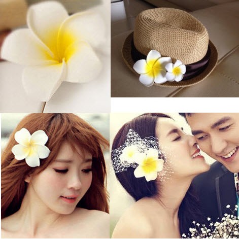 Kẹp Tóc Sứ Giá Tốt Tháng 10, 2023 Phụ Kiện Tóc | Mua Ngay Phụ Kiện & Trang  Sức Nữ | Shopee Việt Nam