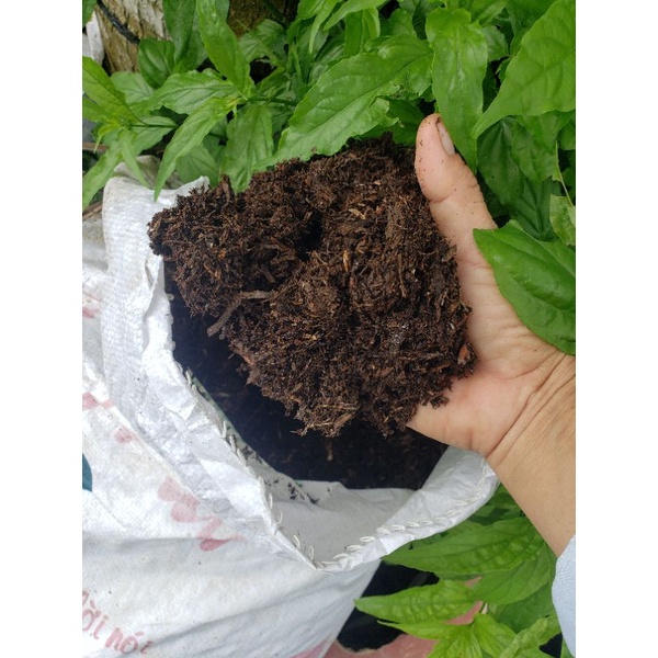 Phân rơm( và giá thể trồng cây.)(tro trấu.) sơ dừa. | Shopee Việt Nam